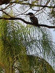 20181104_170450