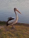 20181102_185301