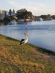 20181102_185220