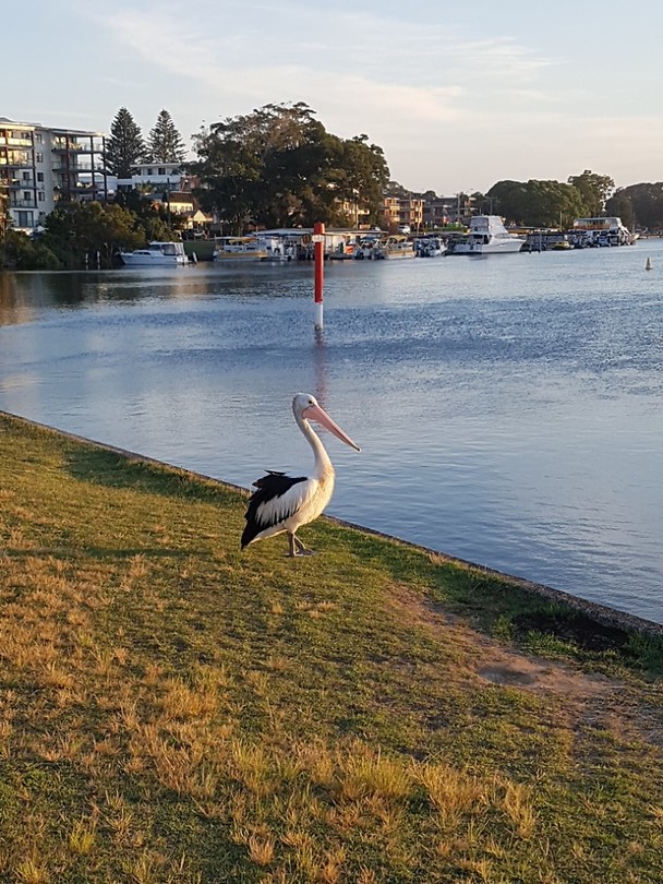 20181102_185220