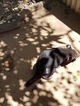 20181107_123225