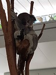 20181107_121003
