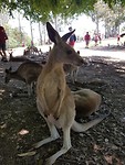20181107_113818