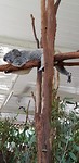 IMG-20181110-WA0004