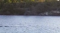 VID-20181102-WA0002
