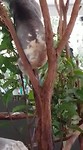 VID-20181110-WA0017