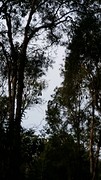 20170106_170350