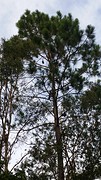 20170106_170544