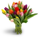Bloemen