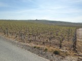 Tussen de Champagne
