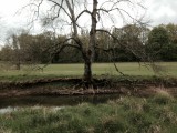 In het bos