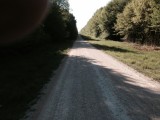 3 uur bos, dus ook veel schaduw