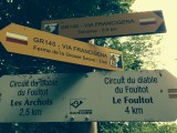 Weer eens een wegwijzer van de Francigena