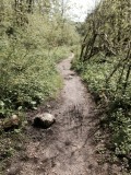 Redelijk pad langs de Doubs