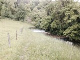 Snelstromend riviertje in het bos