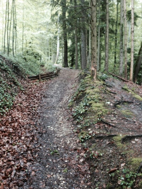 Ploeteren in het bos