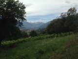 Op de achtergrond de Mont Blanc