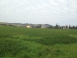 Het heuvelachtige landschap tussen Medesano en Formoso