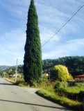 Een typisch Toscaans beeld