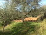 Zo kennen we Toscana toch!