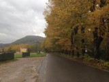 Gevaarlijk door het bos, dan maar over de strada