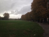 Prachtige dubbele boomrijen langs de stad.