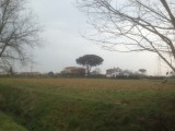 Toscana op z'n moois