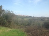 Limburg is inderdaad Toscana van het noorden