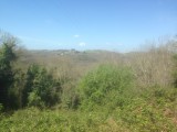 Zon en mooie natuur, wat wil je nog meer
