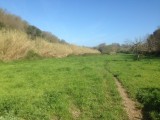Mooie natuur, veel bamboe