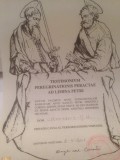 Het Testimonium