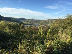IMG_0011