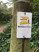 Bewegwijzering