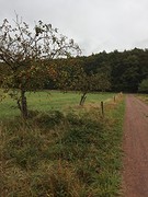 IMG_0063