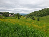 20250507_110620