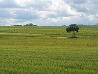 20250511_130448