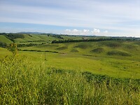 20250511_090523