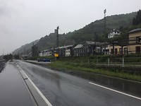 Kaub