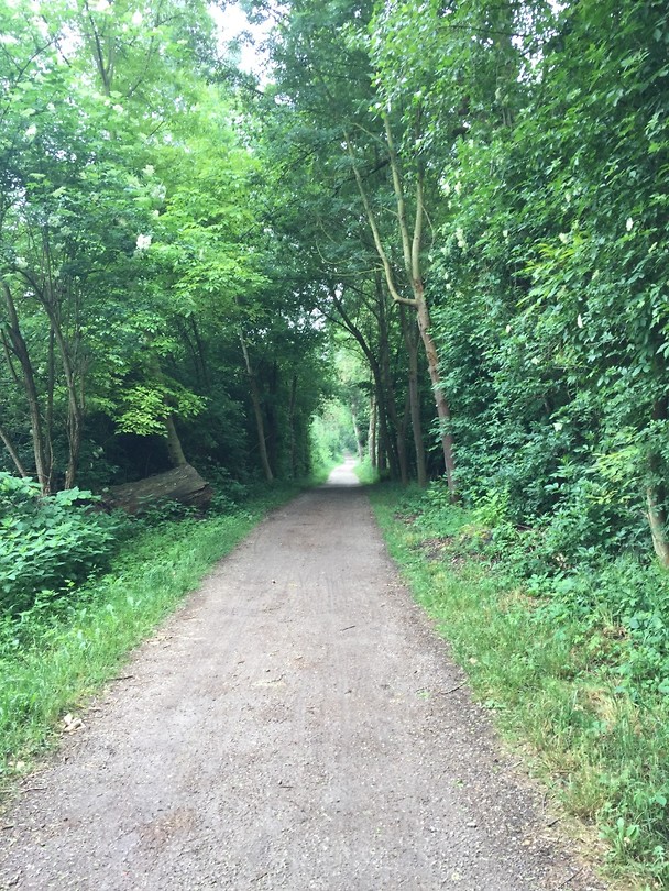 Indruk fietsroute