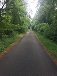laatste stuk 10 km recht toe recht aan door bos