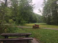 Natuurpark (vervolg)