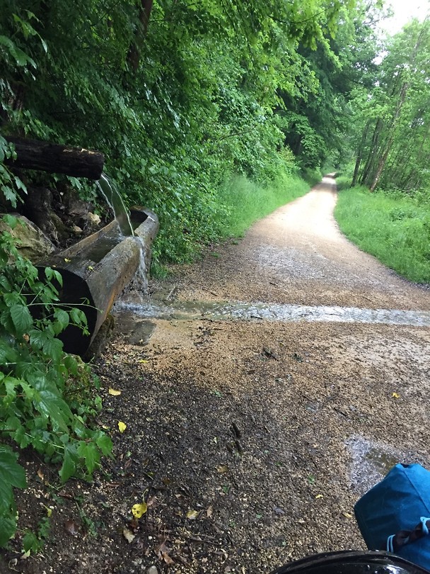 Fietspad langs de Donau
