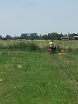 Rob wilde een foto van de bever maken