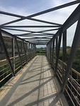 Fietsrug over de Arno bij Firenze