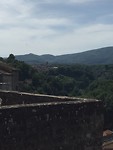 Vignanello