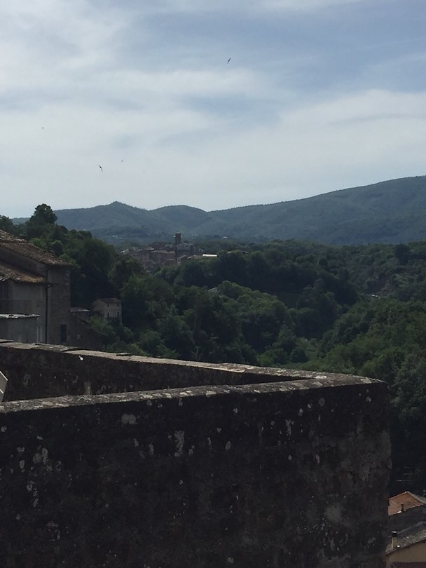 Vignanello