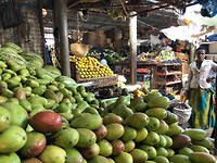 De lokale markt