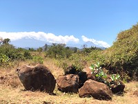 Kilimanjaro