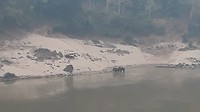 20190324_071925