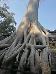 IMG-20190409-WA0021